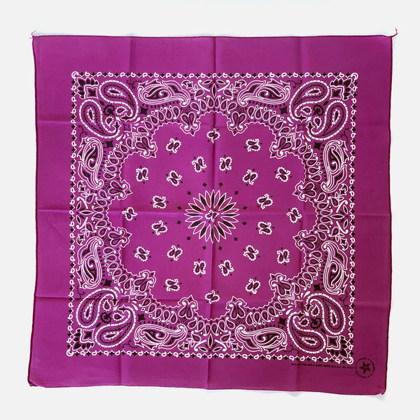 Vintage Paisley Bandana Red - Kingpins Shop